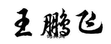 胡问遂王鹏飞行书个性签名怎么写