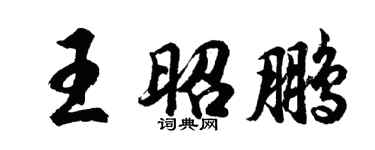 胡问遂王昭鹏行书个性签名怎么写