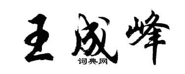 胡问遂王成峰行书个性签名怎么写