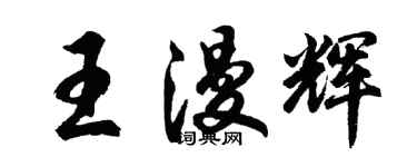 胡问遂王漫辉行书个性签名怎么写