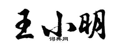 胡问遂王小明行书个性签名怎么写