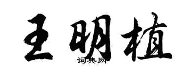 胡问遂王明植行书个性签名怎么写