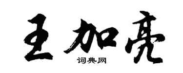 胡问遂王加亮行书个性签名怎么写
