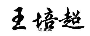 胡问遂王培超行书个性签名怎么写
