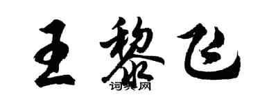 胡问遂王黎飞行书个性签名怎么写