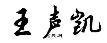 胡问遂王声凯行书个性签名怎么写