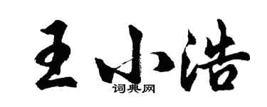 胡问遂王小浩行书个性签名怎么写