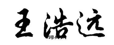 胡问遂王浩远行书个性签名怎么写