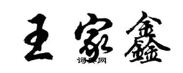 胡问遂王家鑫行书个性签名怎么写