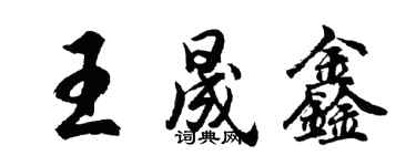胡问遂王晟鑫行书个性签名怎么写