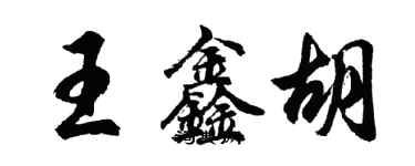 胡问遂王鑫胡行书个性签名怎么写