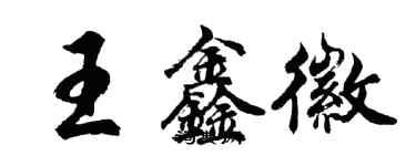 胡问遂王鑫徽行书个性签名怎么写