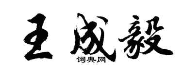胡问遂王成毅行书个性签名怎么写