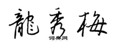 王正良龙秀梅行书个性签名怎么写
