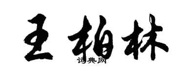 胡问遂王柏林行书个性签名怎么写