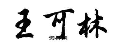 胡问遂王可林行书个性签名怎么写