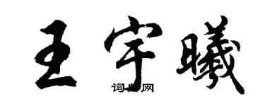 胡问遂王宇曦行书个性签名怎么写