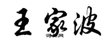 胡问遂王家波行书个性签名怎么写