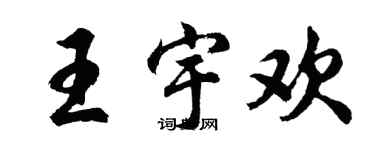 胡问遂王宇欢行书个性签名怎么写
