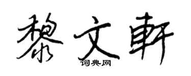 王正良黎文轩行书个性签名怎么写
