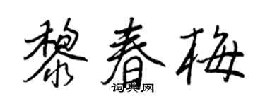 王正良黎春梅行书个性签名怎么写