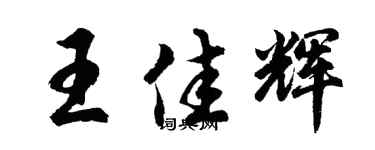 胡问遂王佳辉行书个性签名怎么写