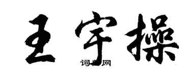 胡问遂王宇操行书个性签名怎么写