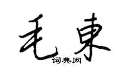 王正良毛东行书个性签名怎么写