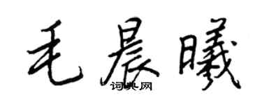 王正良毛晨曦行书个性签名怎么写