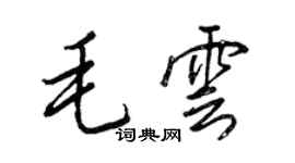 王正良毛云行书个性签名怎么写