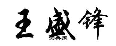 胡问遂王盛锋行书个性签名怎么写