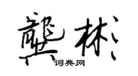王正良龚彬行书个性签名怎么写