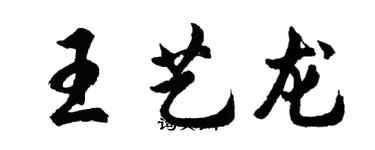 胡问遂王艺龙行书个性签名怎么写