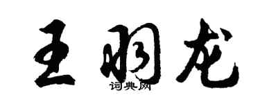 胡问遂王羽龙行书个性签名怎么写