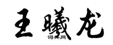 胡问遂王曦龙行书个性签名怎么写