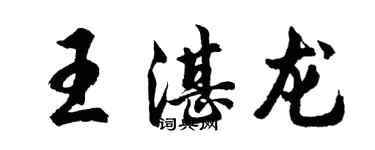 胡问遂王湛龙行书个性签名怎么写