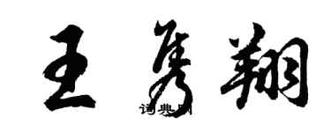 胡问遂王隽翔行书个性签名怎么写