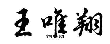 胡问遂王唯翔行书个性签名怎么写