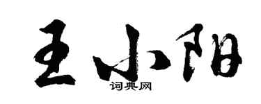 胡问遂王小阳行书个性签名怎么写