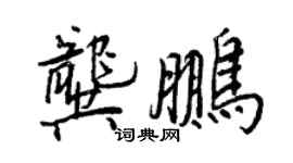 王正良龚鹏行书个性签名怎么写