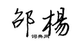 王正良邵杨行书个性签名怎么写