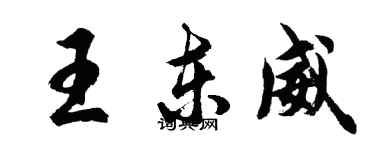 胡问遂王东威行书个性签名怎么写