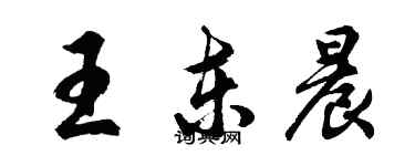 胡问遂王东晨行书个性签名怎么写