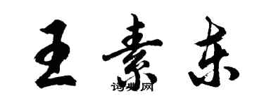 胡问遂王素东行书个性签名怎么写