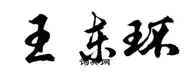 胡问遂王东环行书个性签名怎么写