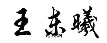胡问遂王东曦行书个性签名怎么写