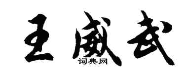 胡问遂王威武行书个性签名怎么写