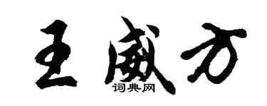 胡问遂王威方行书个性签名怎么写