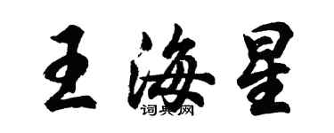 胡问遂王海星行书个性签名怎么写