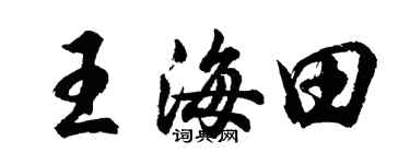 胡问遂王海田行书个性签名怎么写